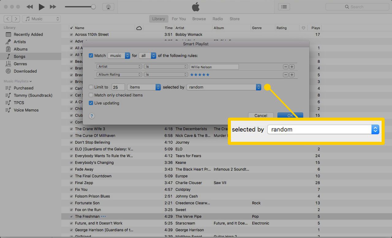 How To Download All Apple Music iPhone With iTunes