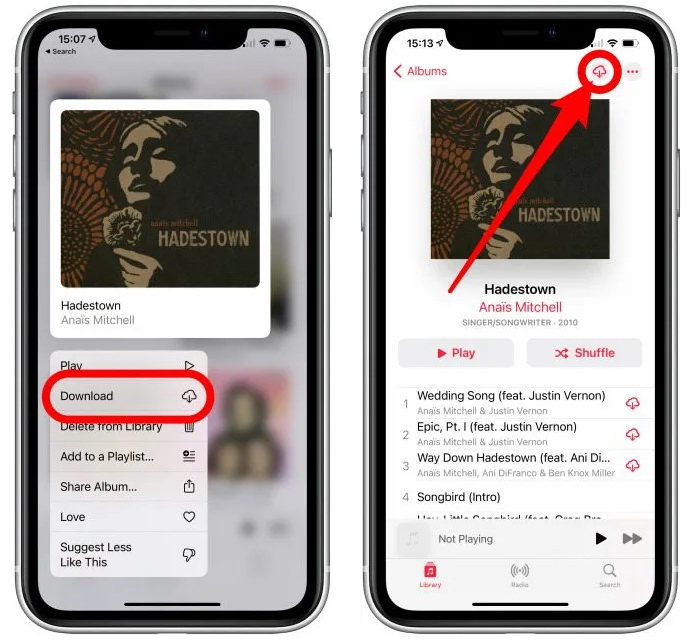 Download All Songs Using Your Apple Music App