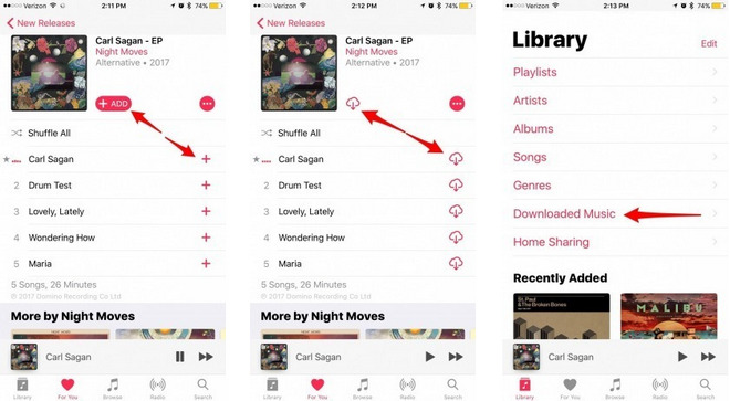 Download My Entire Apple Music Library on iOS