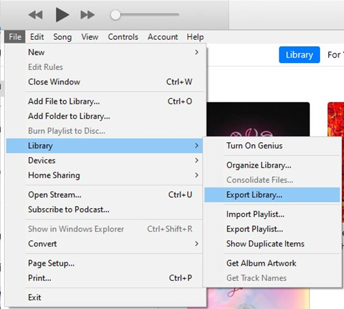 Choose Export Library