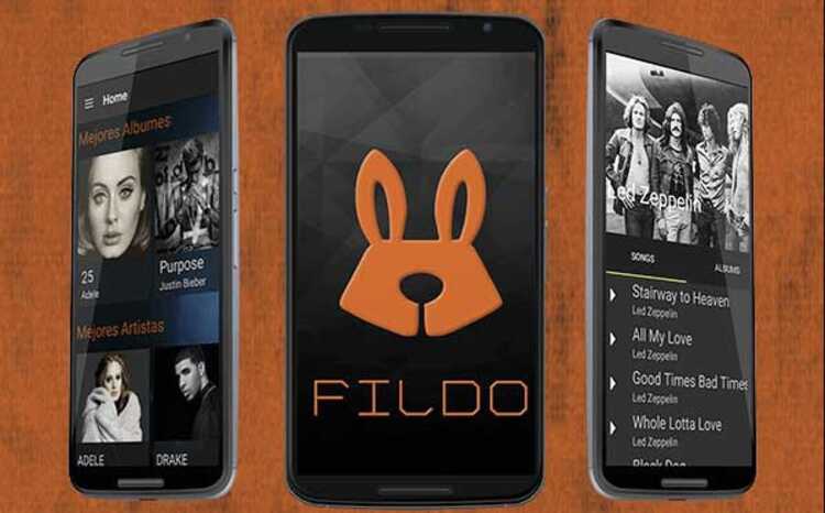 Fildo Music Downloader