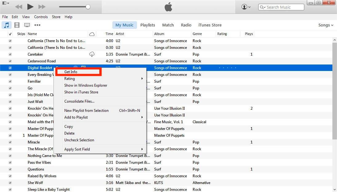 Songs Get Info