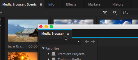 Launch The Media Browser