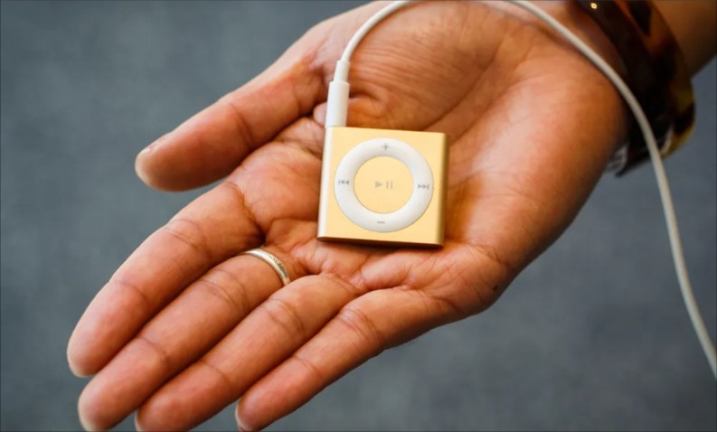 Portable iPod