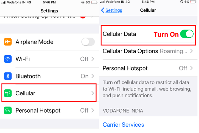 Check that Cellular Data is turned ON on your Phone