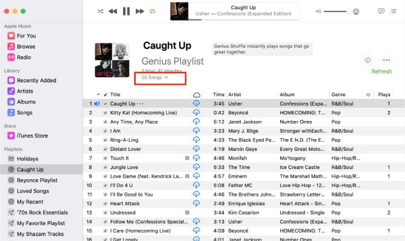 View How Many Songs On Mac