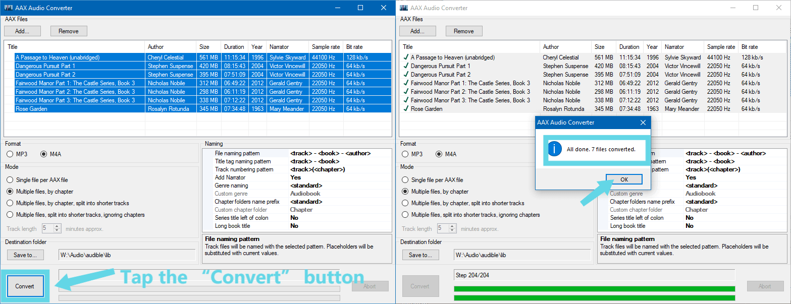 AAX Audio Converter Conversion Process