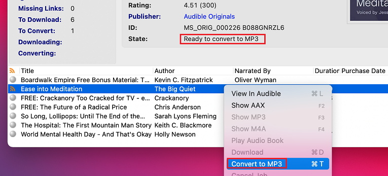 Convert AAX To MP3 Via OpenAudible