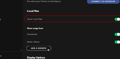 Show Spotify Local Files