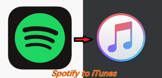 How to Transfer Music from Spotify to iTunes on Windows