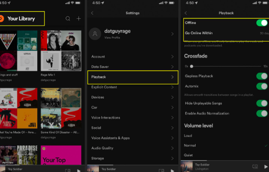 Turn On Offline Mode On Spotify