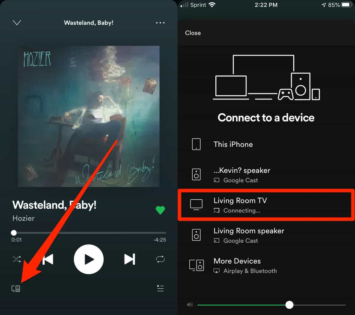 Spotify Music Cast to TV